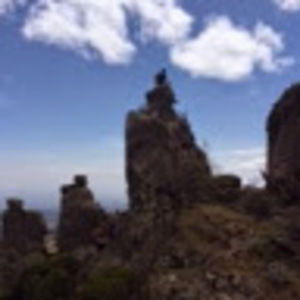 Meet your Posher, Renata